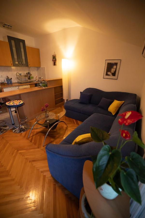 Cushy Apartment Close To City Centre Podgorica Eksteriør billede